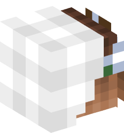 Minecraft head — People