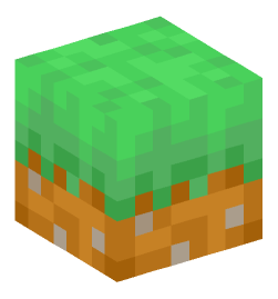 Minecraft head — Blocks