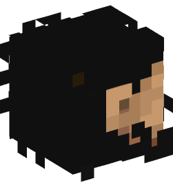 Minecraft head — People