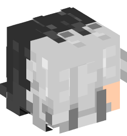 Minecraft head — People