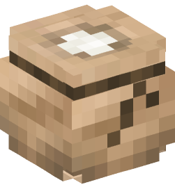 Minecraft head — Decor