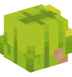 Minecraft head — People