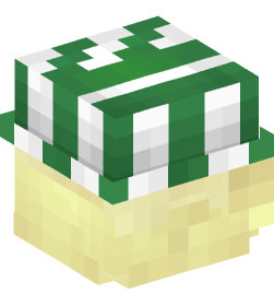 Minecraft head — People