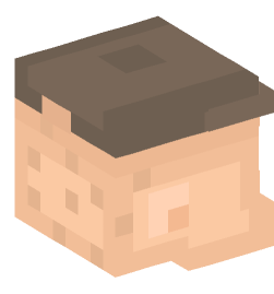 Minecraft head — People