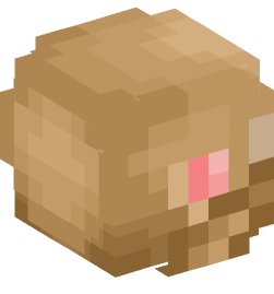 Minecraft head — Miscellaneous