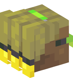 Minecraft head — People