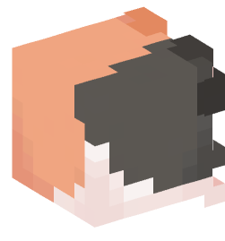 Minecraft head — Animals