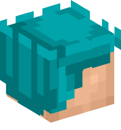 Minecraft head — People