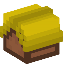 Minecraft head — Decor