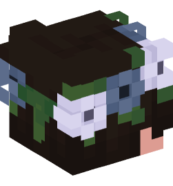 Minecraft head — People