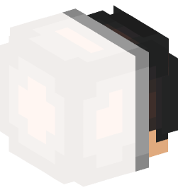 Minecraft head — People