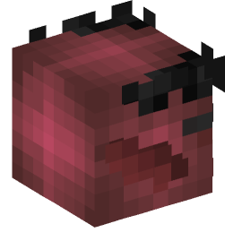 Minecraft head — Creatures