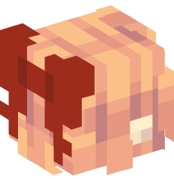 Minecraft head — People