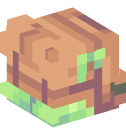 Minecraft head — People