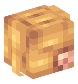 Minecraft head — People