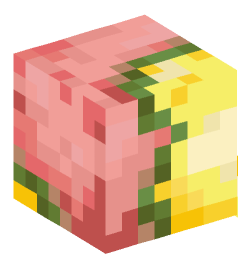 Minecraft head — Decor