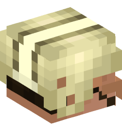 Minecraft head — People