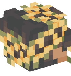 Minecraft head — People