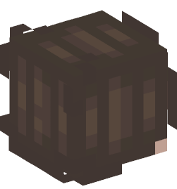 Minecraft head — People