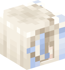 Minecraft head — People