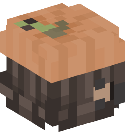 Minecraft head — People