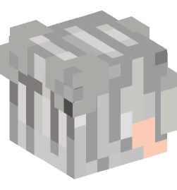 Minecraft head — People