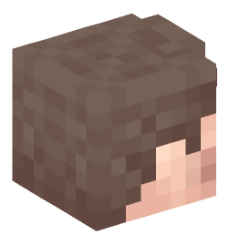 Minecraft head — People