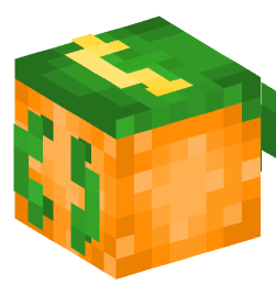 Minecraft head — Decor