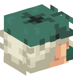 Minecraft head — People