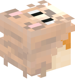 Minecraft head — People