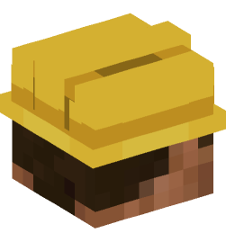 Minecraft head — People