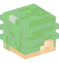 Minecraft head — People