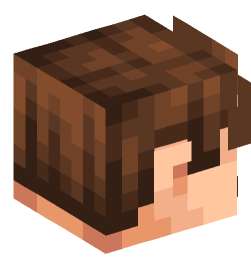 Minecraft head — People