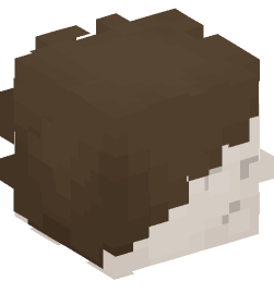 Minecraft head — People