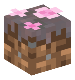 Minecraft head — Plants