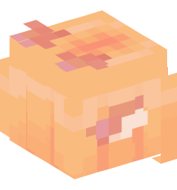 Minecraft head — Creatures