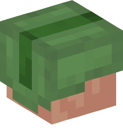 Minecraft head — Creatures