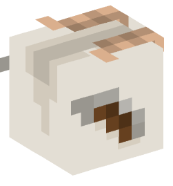 Minecraft head — Animals