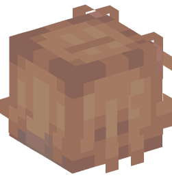 Minecraft head — Animals