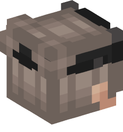 Minecraft head — People