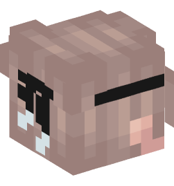 Minecraft head — People