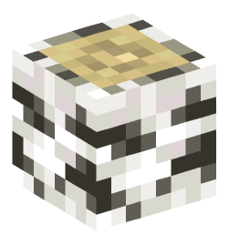 Minecraft head — Blocks