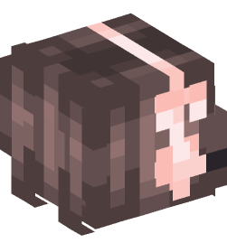 Minecraft head — People