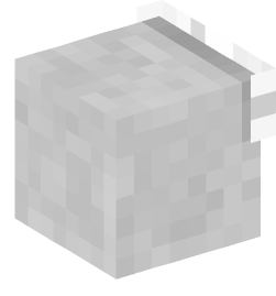 Minecraft head — Decor