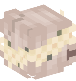 Minecraft head — People