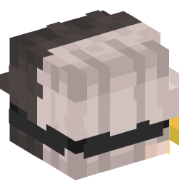 Minecraft head — People