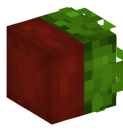 Minecraft head — Decor