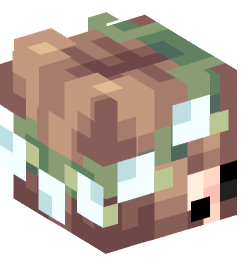 Minecraft head — People