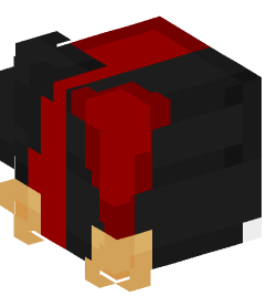 Minecraft head — People