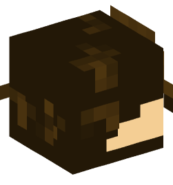 Minecraft head — People